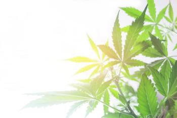 cannabis