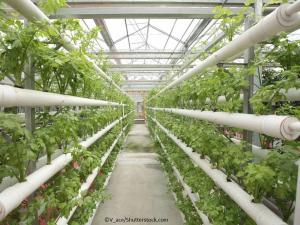 The Weather Report at 10 PM