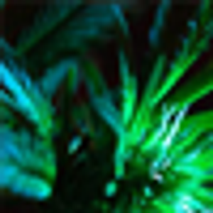 Medical Marijuana: Regulations Surrounding Its Use