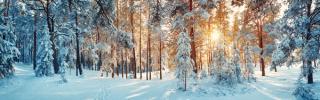 The Snow Is Deep on the Ground
