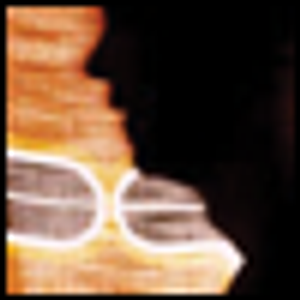 The Link Between Immune System Dysregulation and Schizophrenia