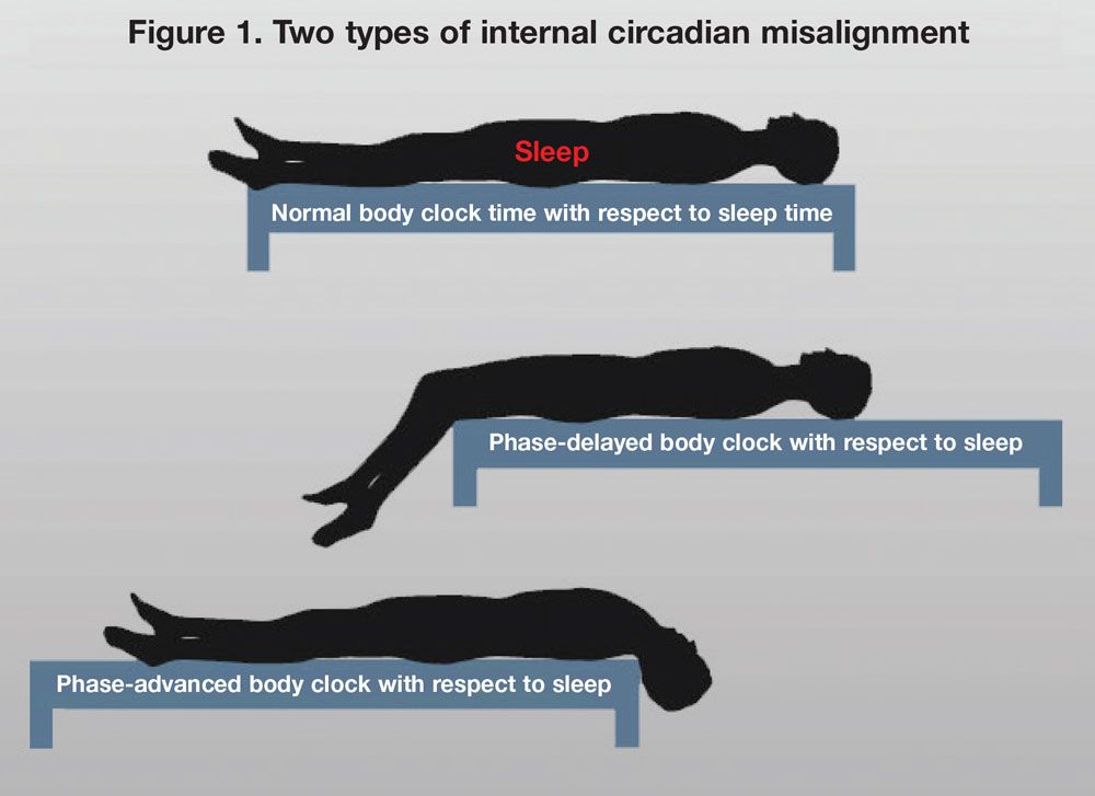 2 types of circadian misalignment between the circadian rhythms