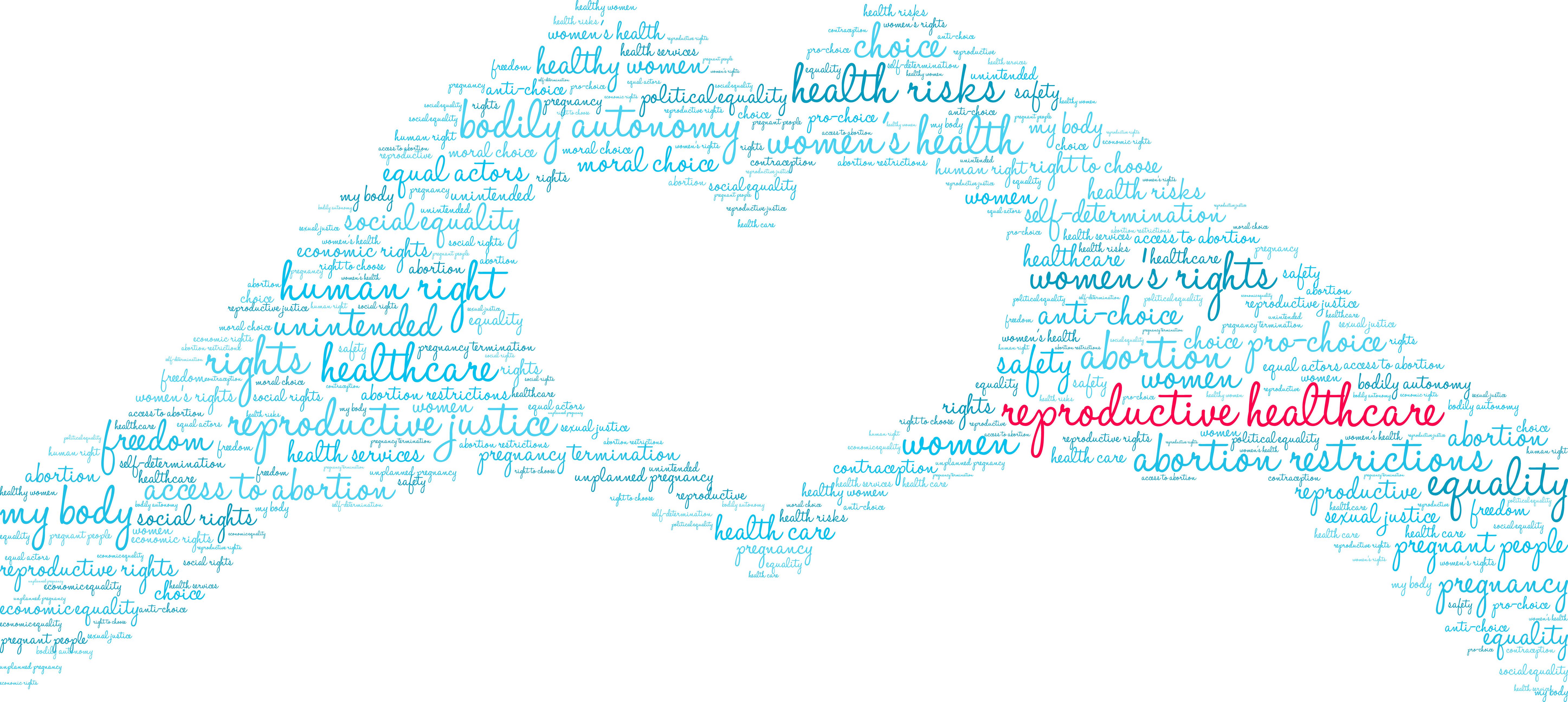 Policies include opposition to government involvement in medical practice and support of access to abortion care.