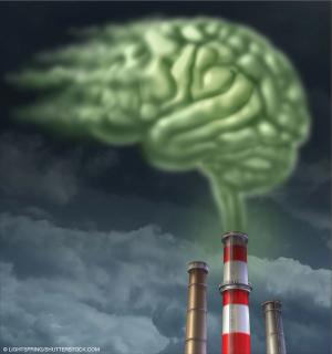 © Lightspring/shutterstock.com