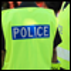 Police Encounters With the Mentally Ill After Deinstitutionalization