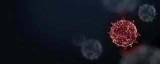 Patient Care in the Age of COVID