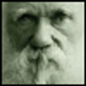 Coyne Battles Darwin, Many Other Evolutionary Biologists-and Himself