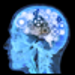 Are Psychiatric Disorders Inflammatory-Based Conditions?