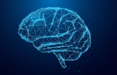 Deemerwha studio/Adobe Stock