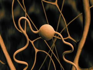 ©UGreen3S/Shutterstock.com