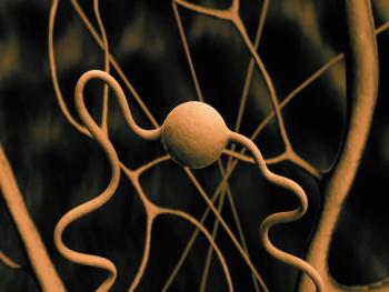 ©UGreen3S/Shutterstock.com