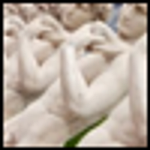 Penis Size: A Consideration of Fantasy and Reality (With Only a Few Puns)