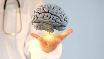 brain