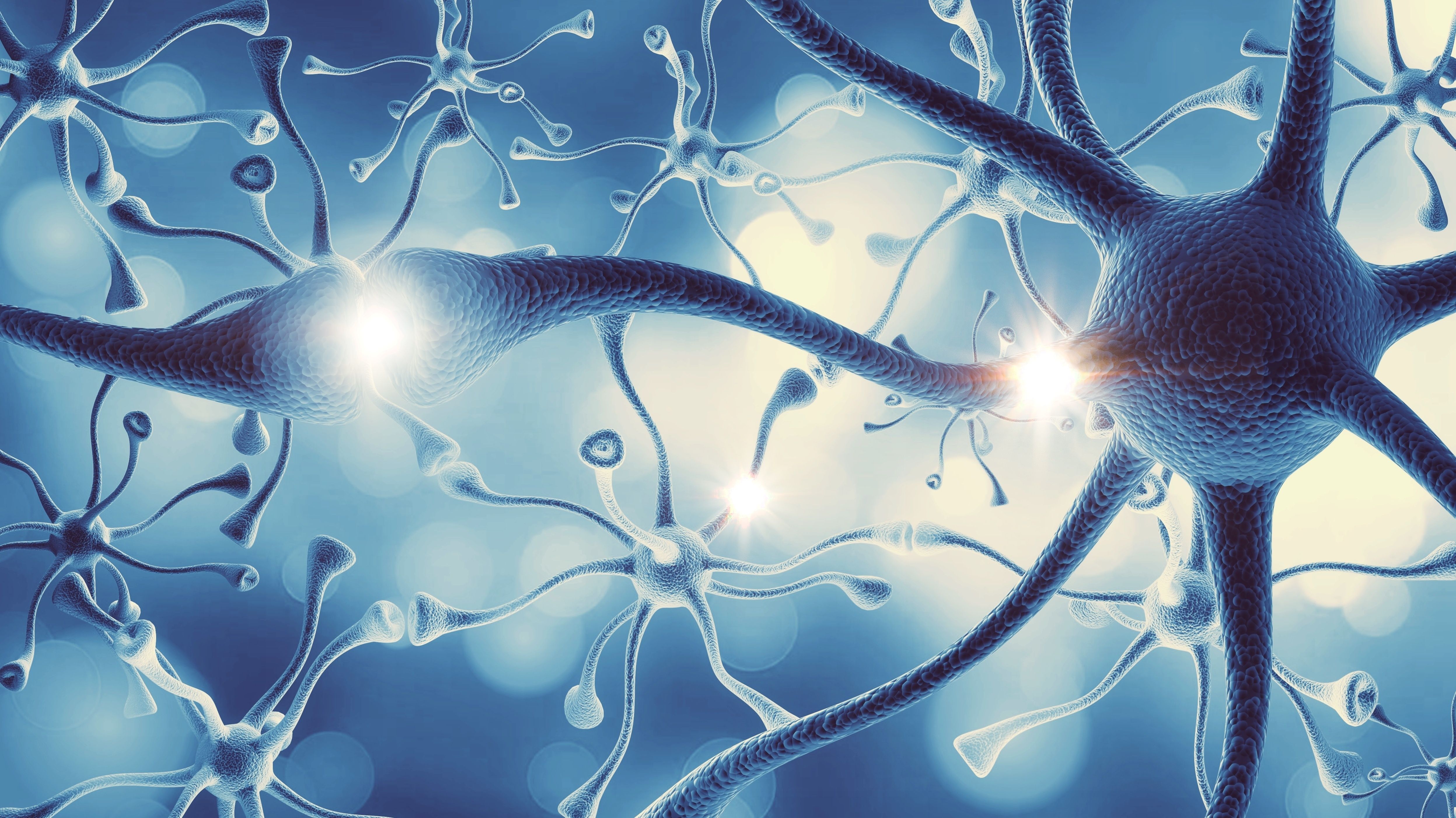 Understanding the heterogeneity and complexities of the histamine monoamine system.