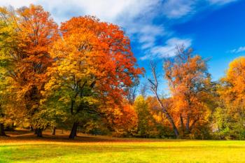 autumn