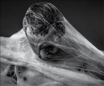 Web of loneliness