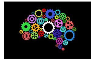 Ai825 - Shutterstock.com