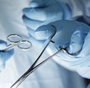 Burlingham-Shutterstock