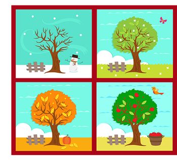 Bilha Golan/Shutterstock