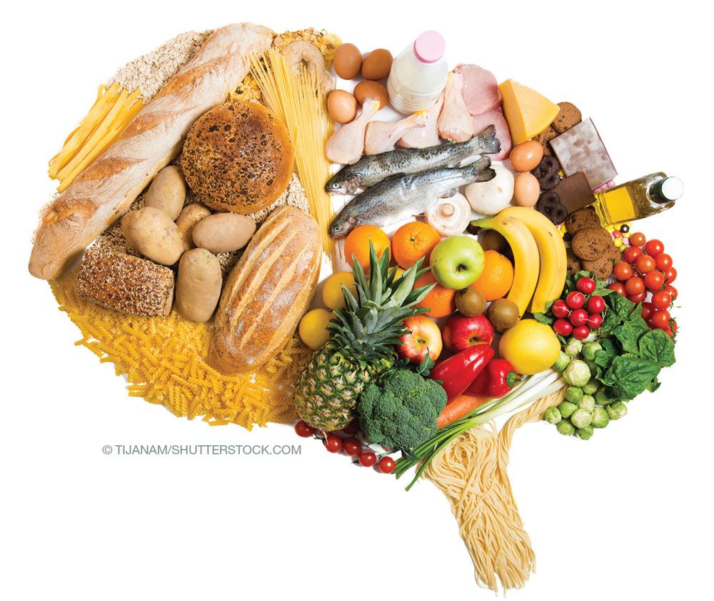 Pin On Diet