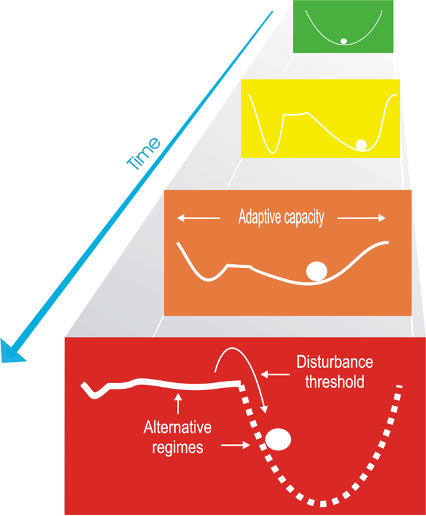 Building Brain Resilience: A Multi-Level Systems Approach