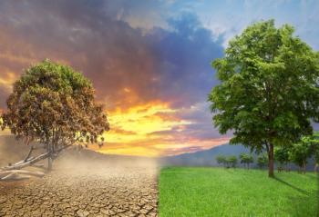 How does divisive tribalism handicap our efforts to solve the climate emergency?