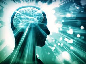 Adike/Shutterstock.com