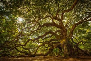 Prose, Poetry, Prayer