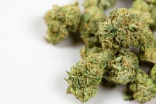 How to Discuss Cannabis With Your Patients