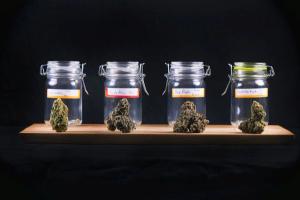 The Rise in Synthetic Cannabinoids and Cathinones