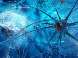 Microglial Involvement With Psychiatric Diseases