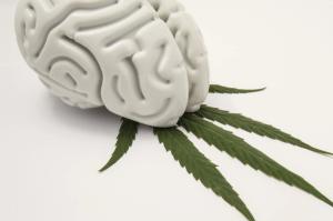 Is Cannabis Use Increasing Schizophrenia?