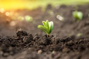 zoyas222/Adobe Stock