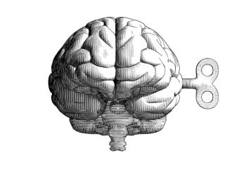 wind up brain