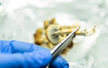 psilocybin study palliative care adjustment disorder