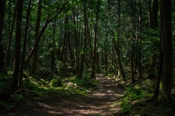 mental health spirituality