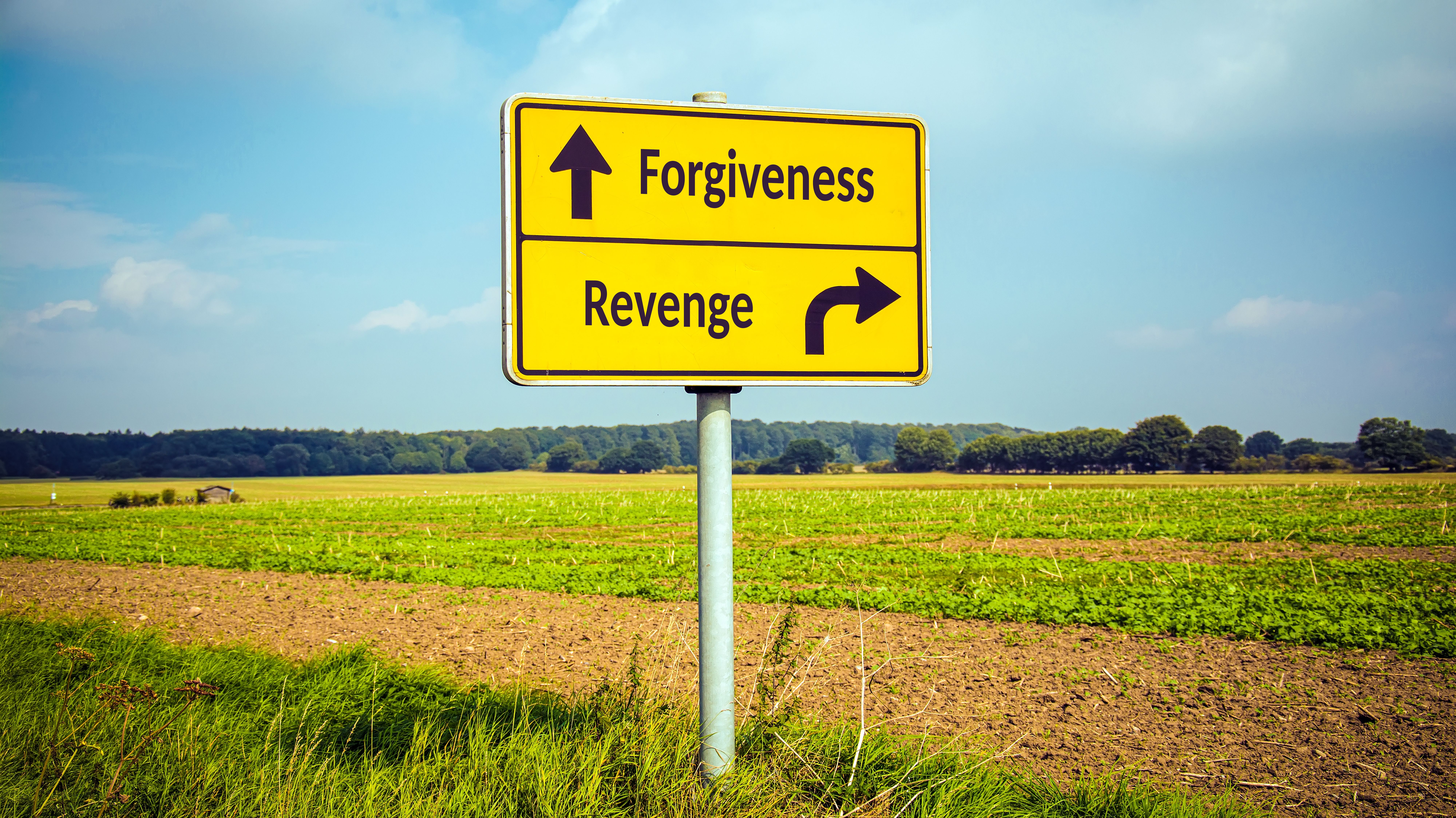 revenge
