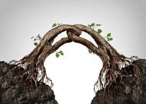 Reconnecting With My Brother: A Lesson Learned