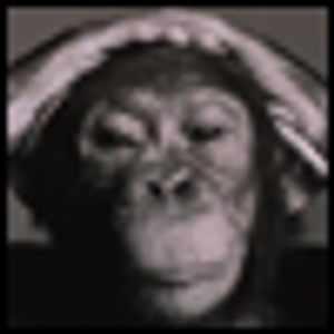 Are Animal Models Relevant in Modern Psychiatry?