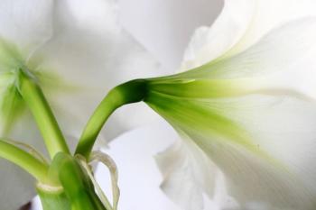 daylight savings, spring, SAD