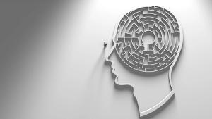 maze mind, brain, unknown, secret mind