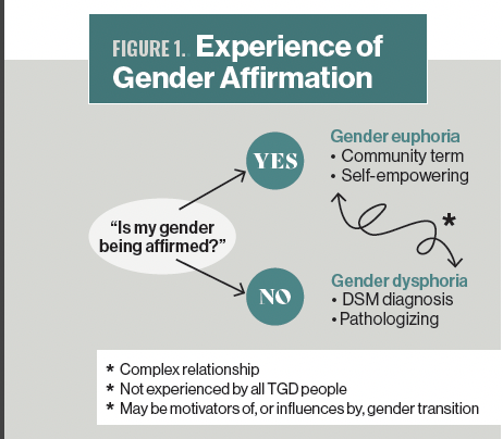 Affirming Evidence-Based Care For Young Patients Who Are Transgender Or ...