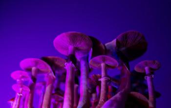 The treatment was well-tolerated, and no serious treatment-emergent adverse effects were identified.