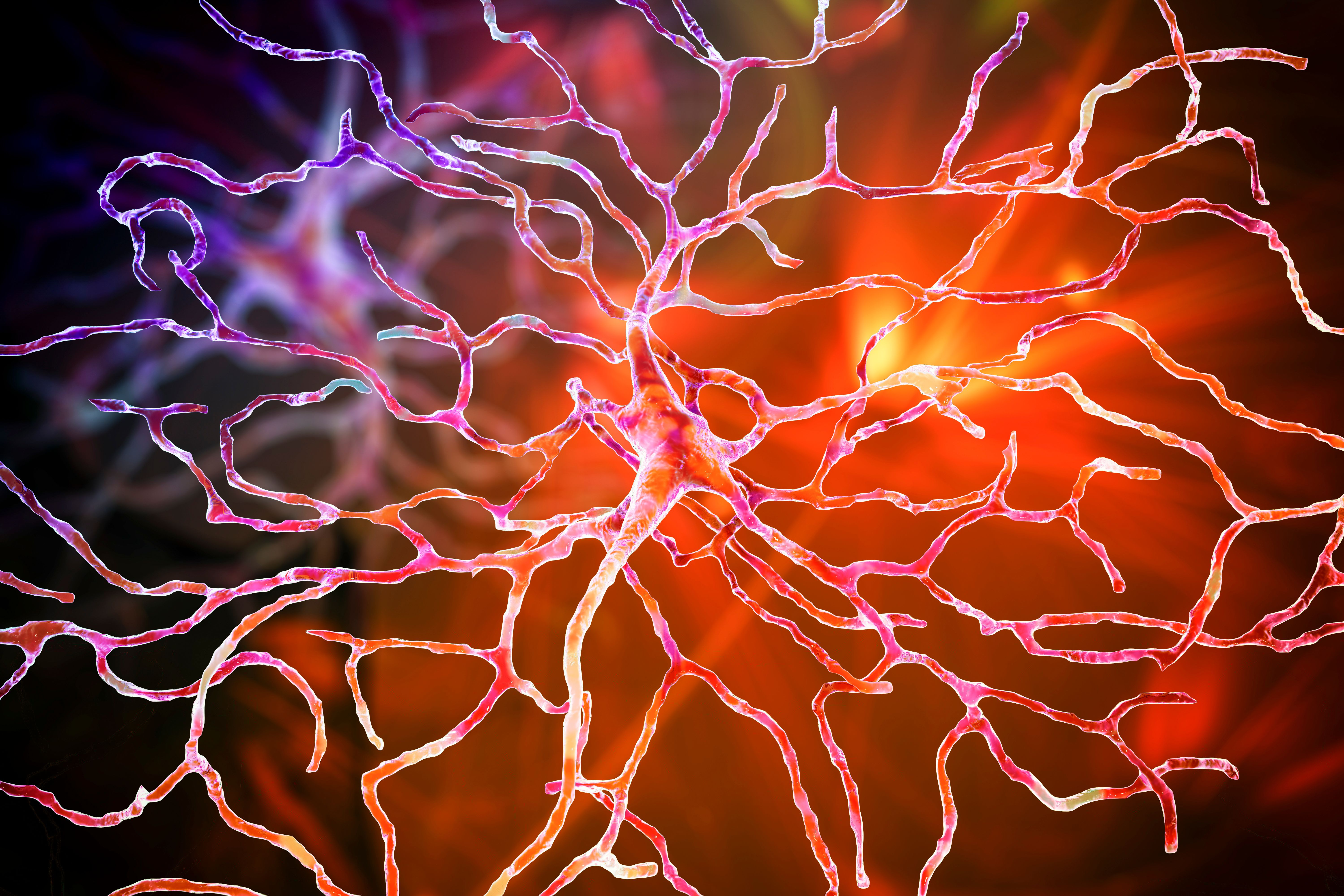 neuroplasticity brain injury recovery