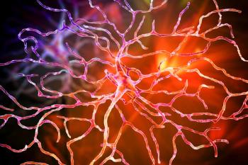 neuroplasticity brain injury recovery