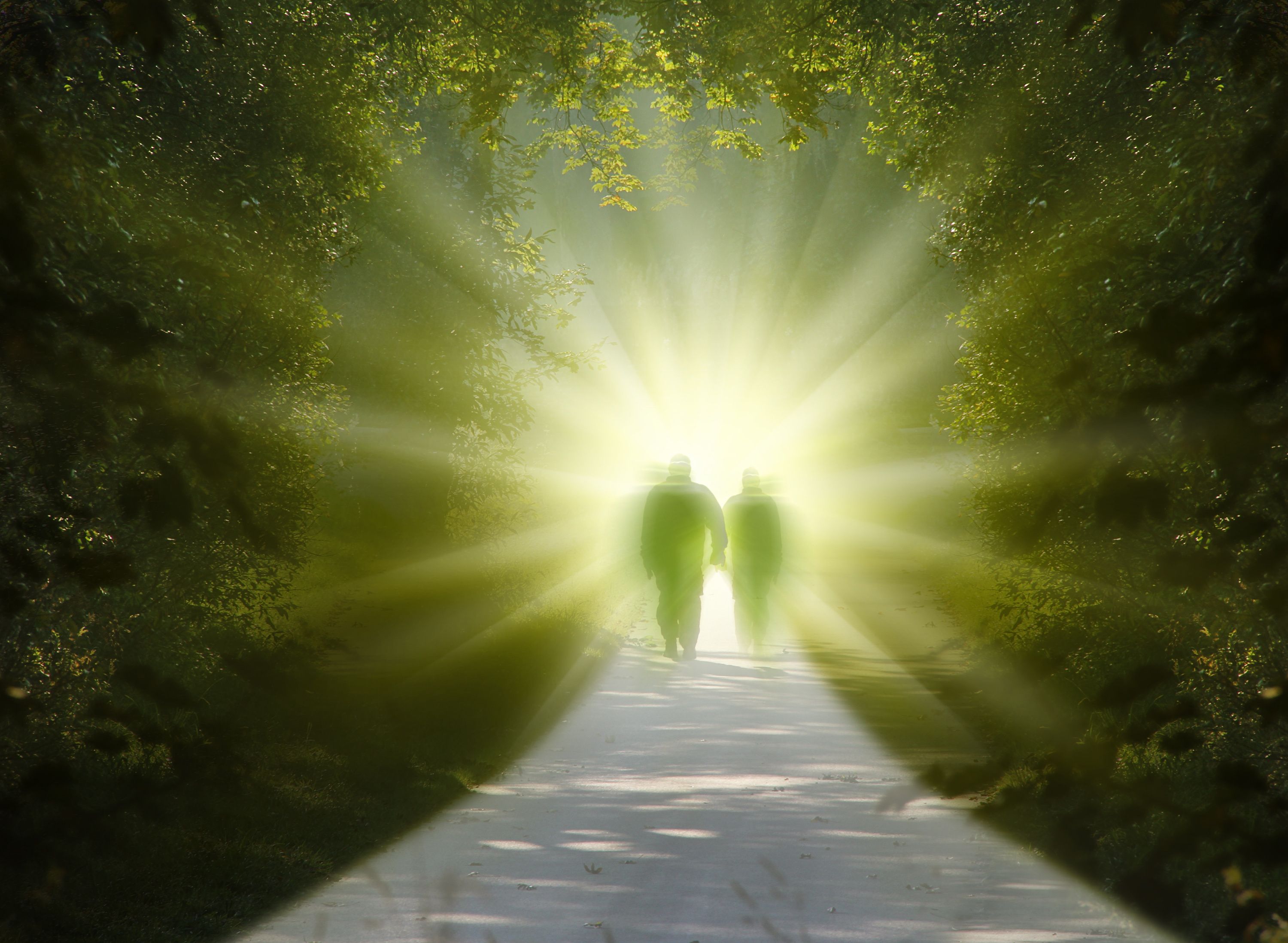 afterlife