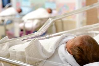 newborn