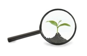 Clinical Challenges in Bipolar Disorder