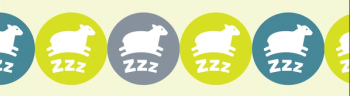 Cognitive behavioral therapy: Can it improve outcomes for individuals with insomnia?