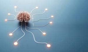 brain connections